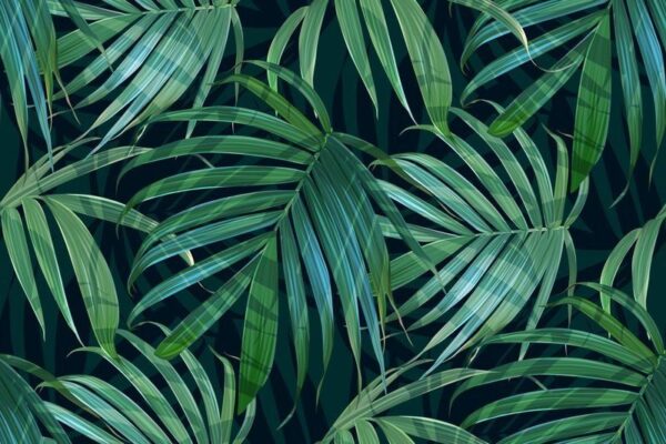 Peinture murale Feuilles tropicales