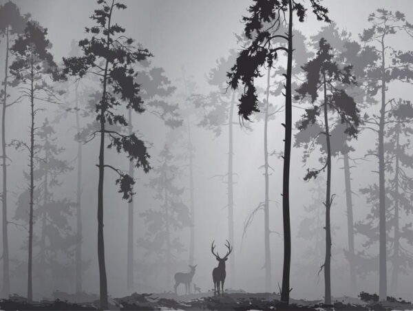 Peinture murale Forêt sombre