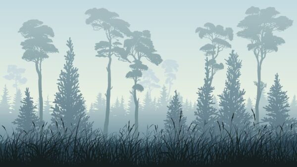 Poster XXL Forêt