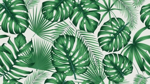 Sticker mural Feuilles de la jungle