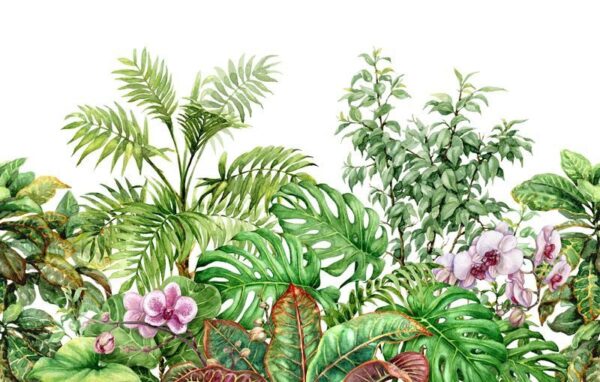 Peinture murale Feuilles tropicales