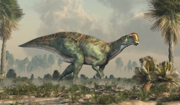 Peinture murale Dinosaure