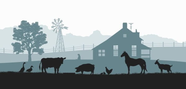 Peinture murale Illustration de la ferme