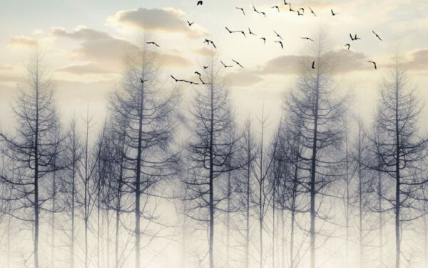 Peinture murale Arbres dans la brume