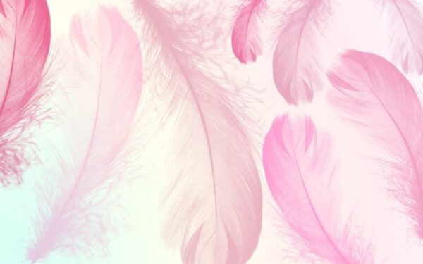 Sticker mural Plumes roses