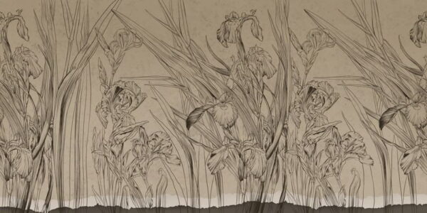 Peinture murale Plantes graphiques