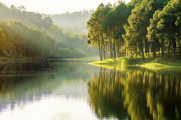 Peinture murale Paysage lacustre