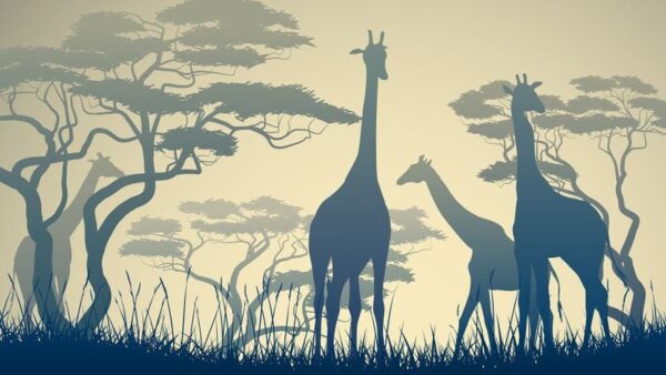 Peinture murale Savane