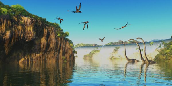 Peinture murale Oiseaux du Jurassique