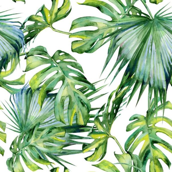 Poster XXL Le vert de Monstera