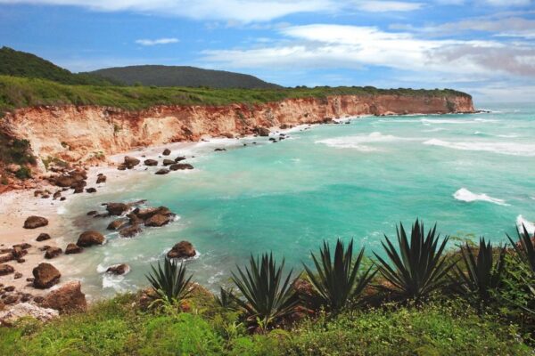 Peinture murale Paradise Ocean