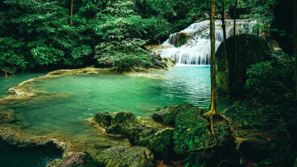 Peinture murale Cascade verte