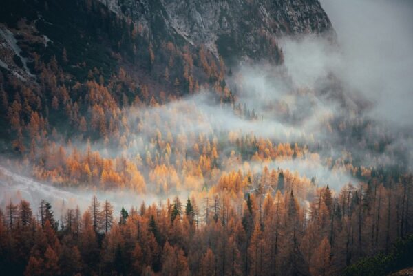 Poster XXL Alpes brumeuses