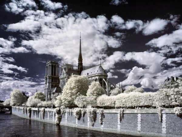 Poster XXL Cathédrale de Paris