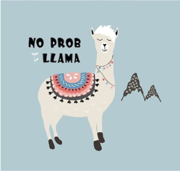 Poster XXL Beau Lama