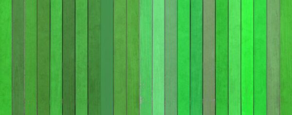 Peinture murale Mur Vert