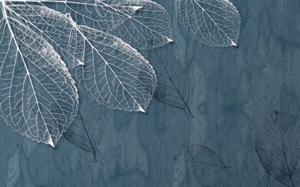 Peinture murale Feuilles veinées