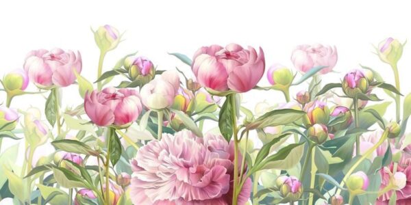 Peinture murale Pivoines dans le pré