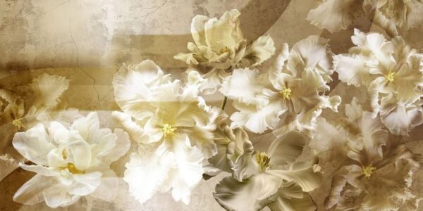 Sticker mural Tulipes blanches