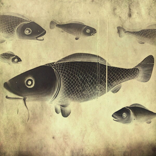 Peinture murale Poisson flottant