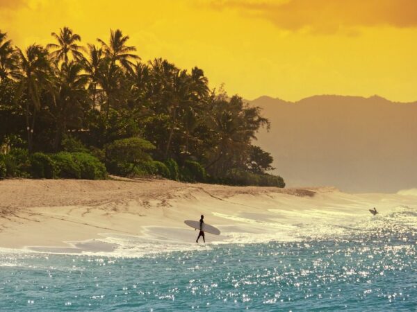 Papier peint Surfeur hawaïen