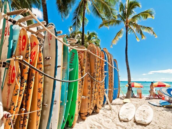 Poster XXL Planches de surf