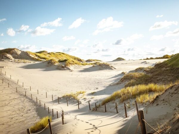 Peinture murale Dunes du désert