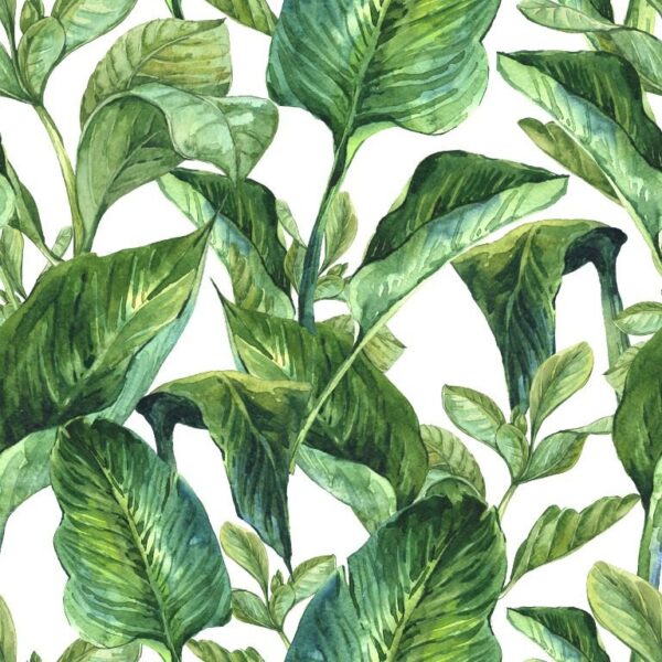 Peinture murale Palmiers verts