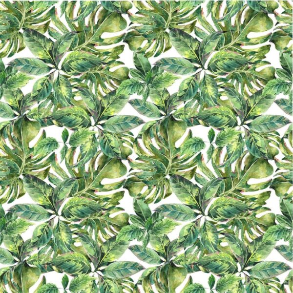 Sticker mural Feuilles exotiques