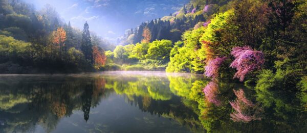 Poster XXL Lac japonais