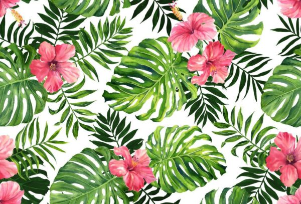 Peinture murale Plumeria rose