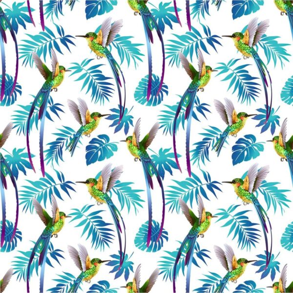 Poster XXL Colibri