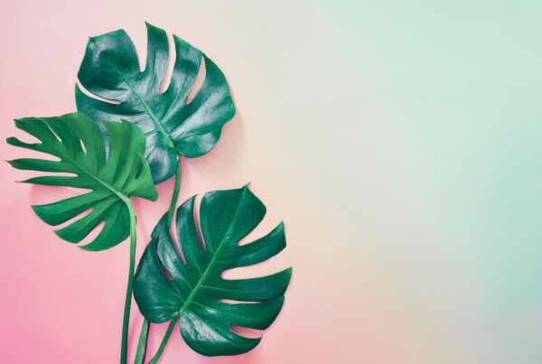 Poster XXL Trois Feuilles
