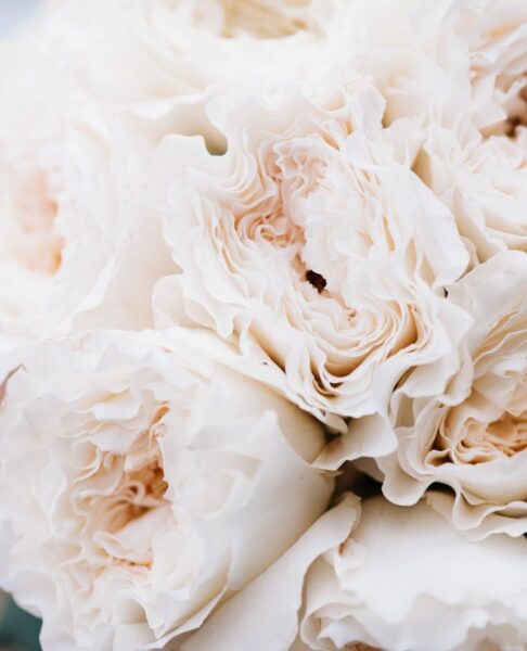 Peinture murale Bouquet lumineux
