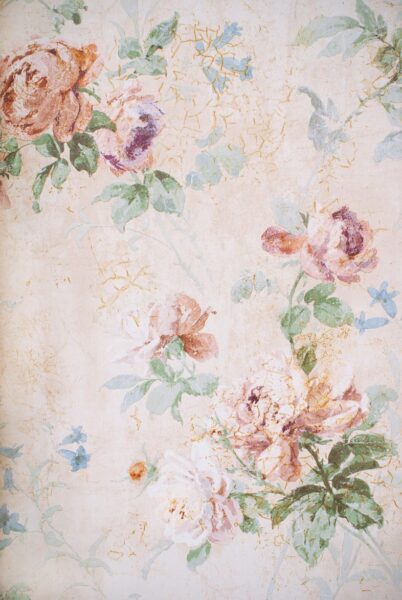 Peinture murale Roses floues