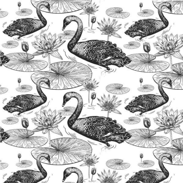Poster XXL Cygnes gris