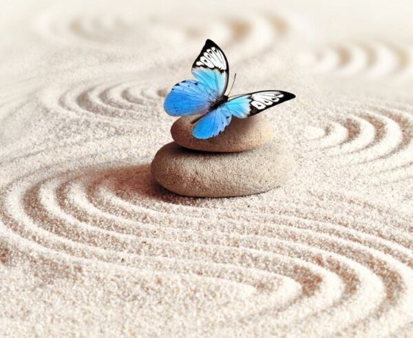 Peinture murale Papillon bleu