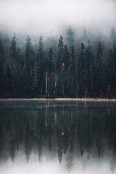 Peinture murale Dark Lake