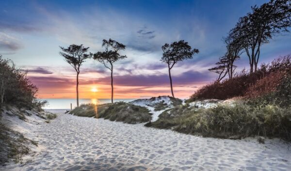 Poster XXL Plage