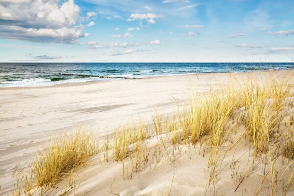 Poster XXL Golden Beach