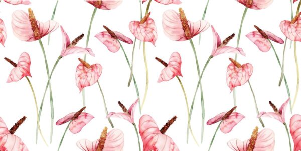 Peinture murale Anthurium rose