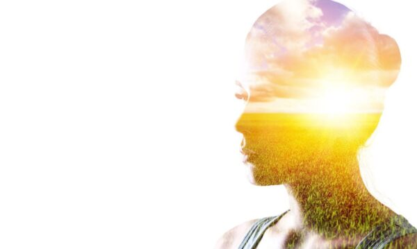 Poster XXL Cerveau de la Nature