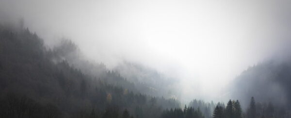 Peinture murale Brouillard Mystérieux