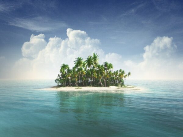 Peinture murale Palm Island