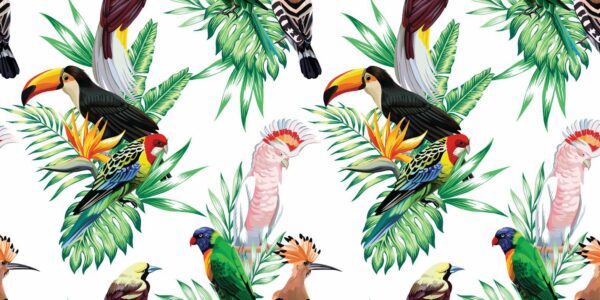 Poster XXL Oiseaux Sauvages