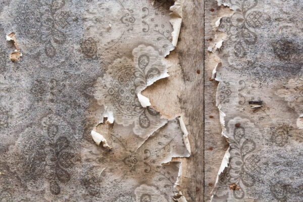 Peinture murale Motif exfolié