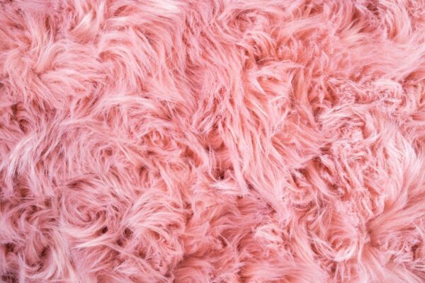 Peinture murale Couleur rose
