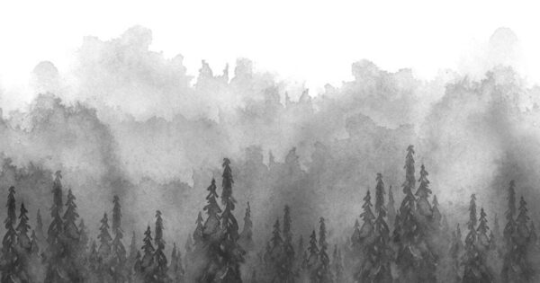 Peinture murale Brouillard de forêt