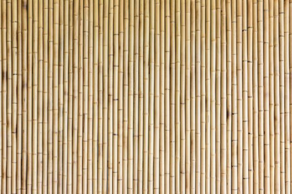 Peinture murale Mur de Bambou
