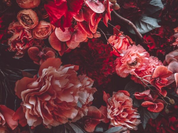 Peinture murale Mur de fleurs